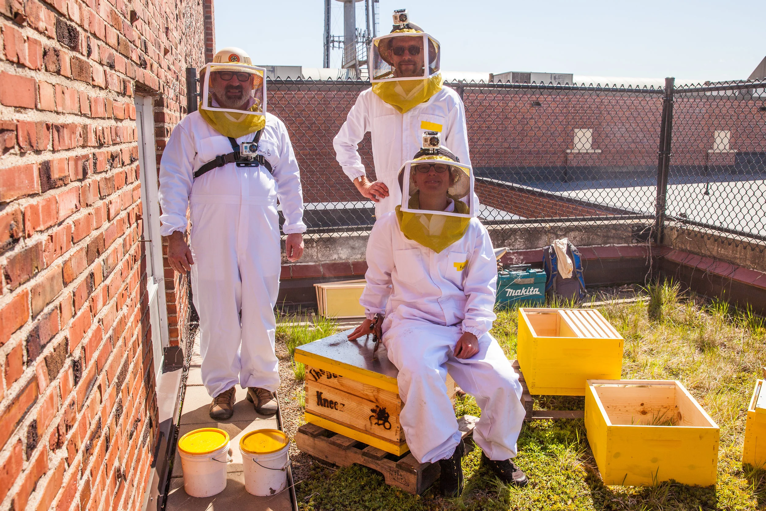 Urban Apiaries — The Beez Kneez LLC